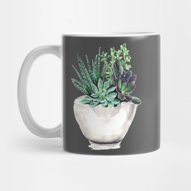 Succulents by Bridgetdav